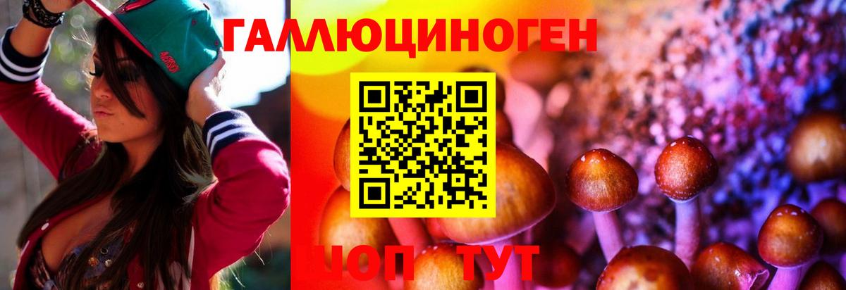 ГАШИШ Волхов